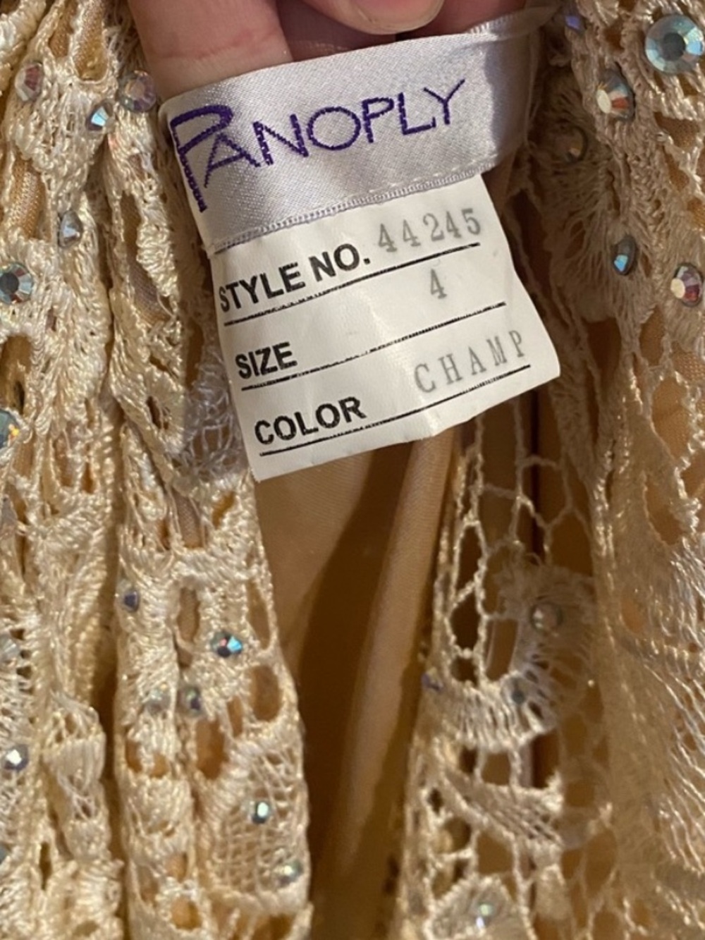 Panoply Elegant Cream Lace Gown size 4 - Picture 6 of 15